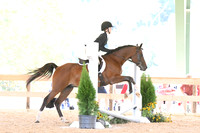 HSM_1155