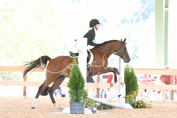 HSM_1155