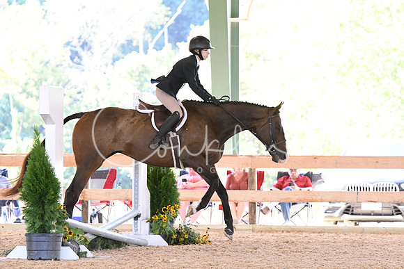 HSM_1007
