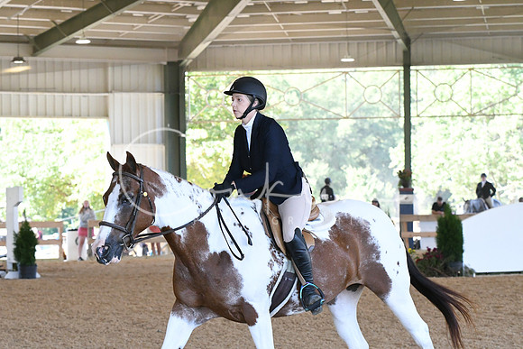 HSM_0977