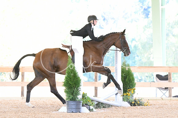 HSM_2644