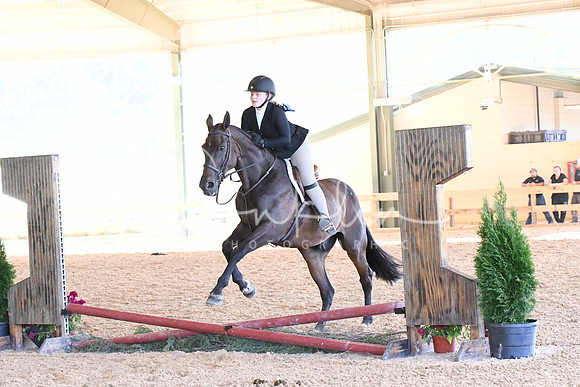 HSM_2931