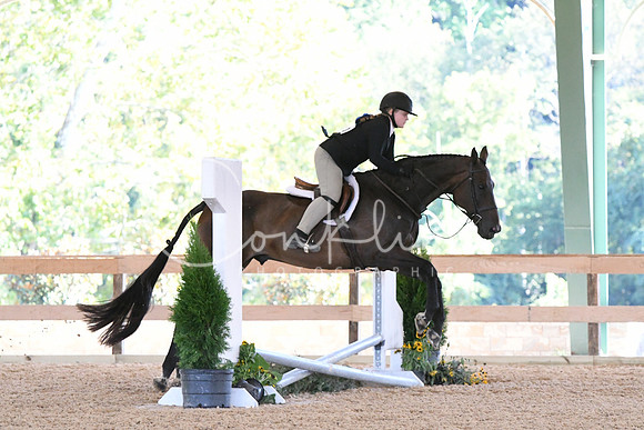 HSM_2933