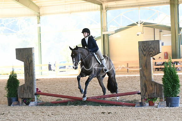 HSM_2762