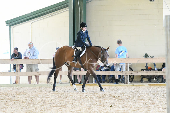 HSM_0961