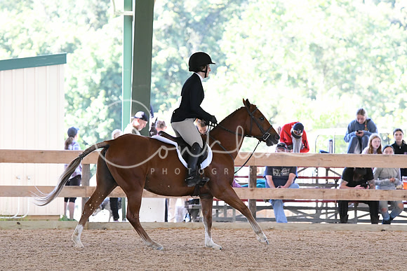 HSM_0863