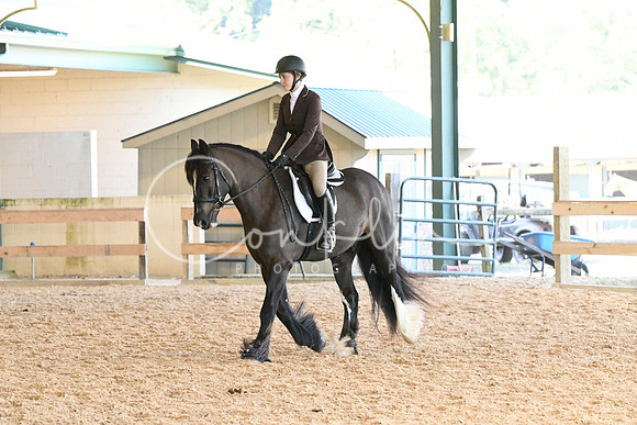 HSM_1176