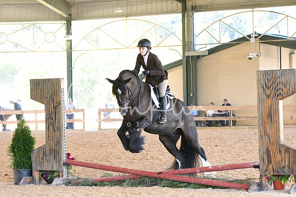 HSM_1178