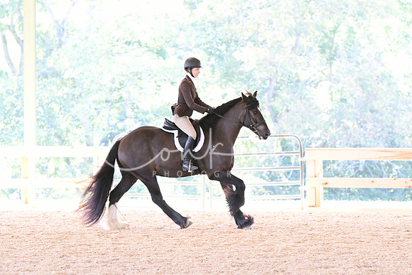 HSM_1180