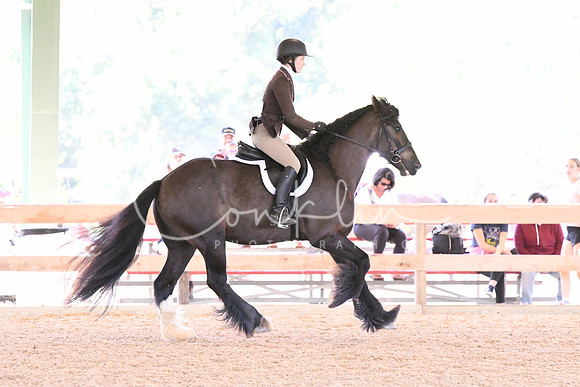 HSM_1183