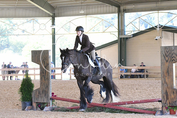 HSM_1185