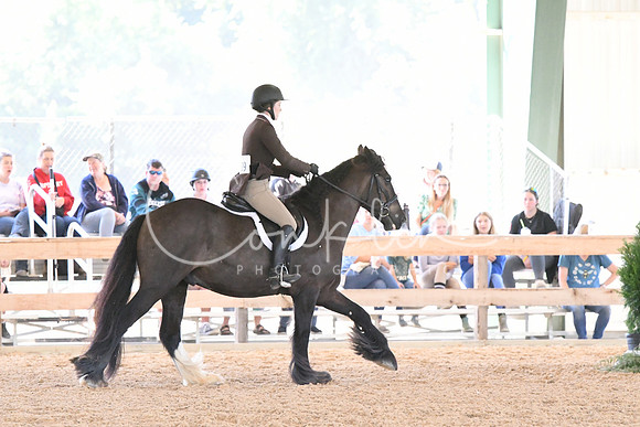 HSM_1188