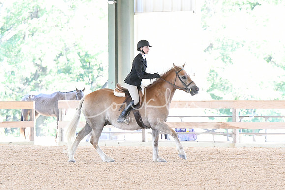 HSM_2858