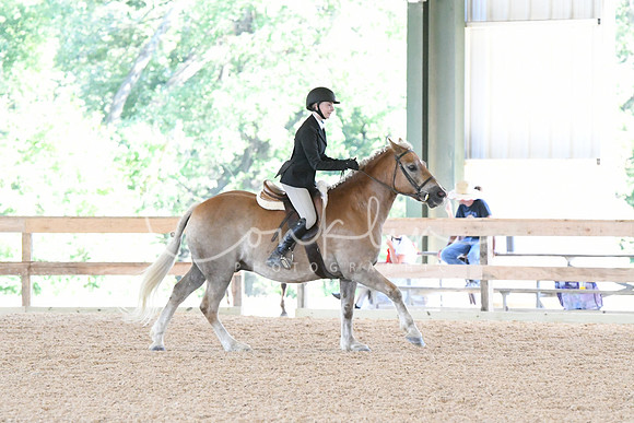HSM_2864