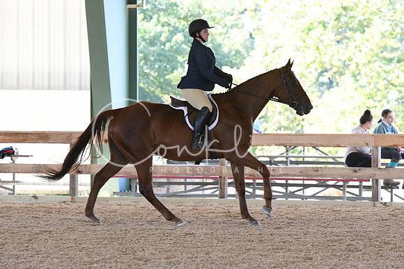 HSM_0937