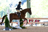 HSM_0938