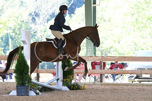 HSM_0938