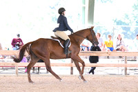 HSM_0940