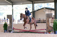 HSM_0941