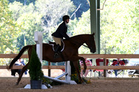 HSM_0942