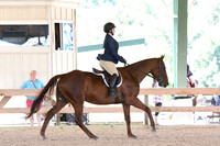 HSM_0943