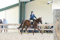 HSM_0944