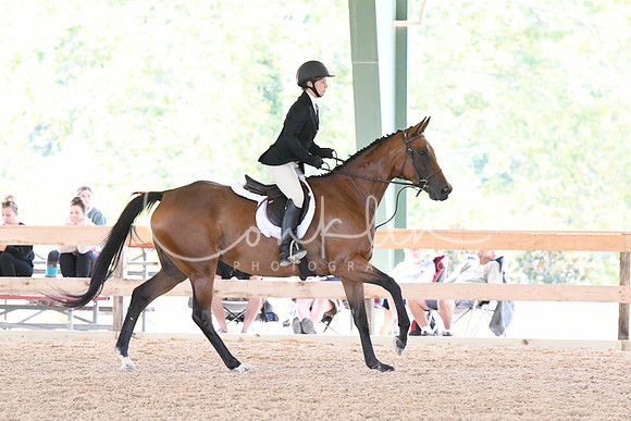 HSM_0994