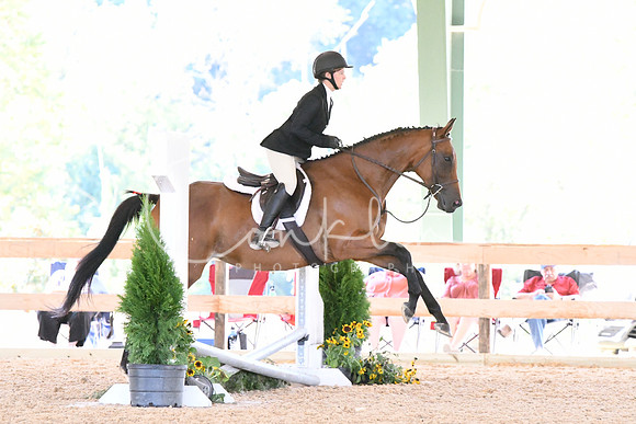 HSM_0995