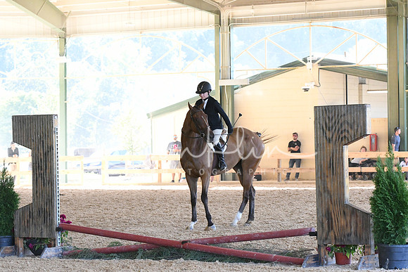 HSM_2659