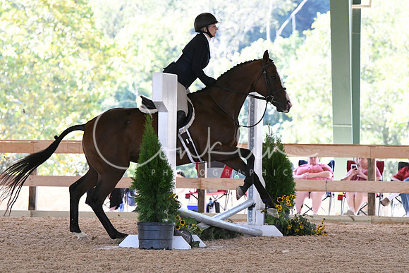 HSM_1050