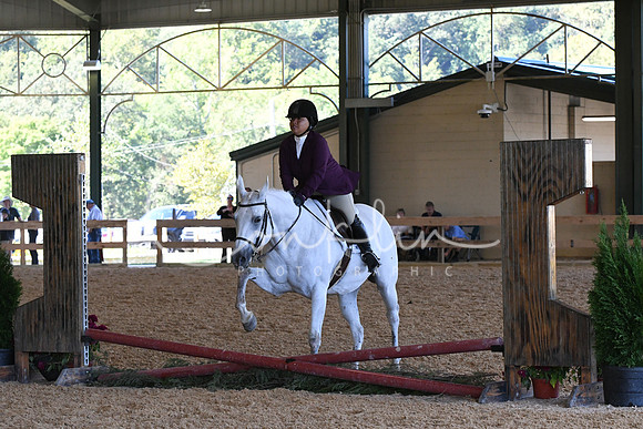 HSM_1195