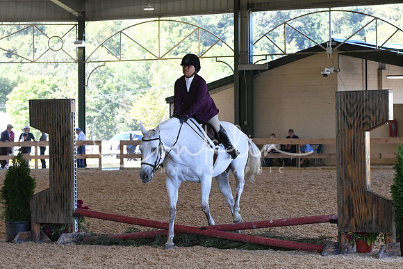 HSM_1196