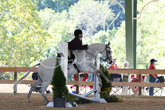 HSM_1198