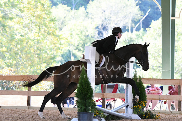 HSM_1028