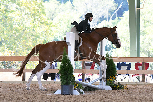 HSM_1074