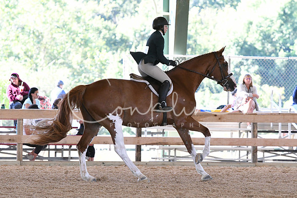 HSM_1076