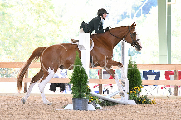 HSM_1079