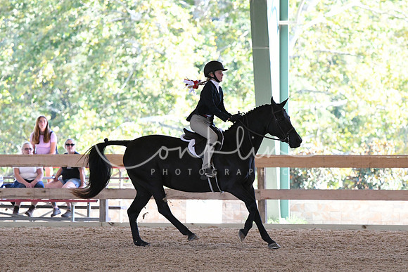 HSM_2812