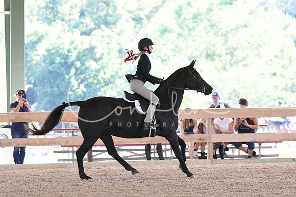 HSM_2817
