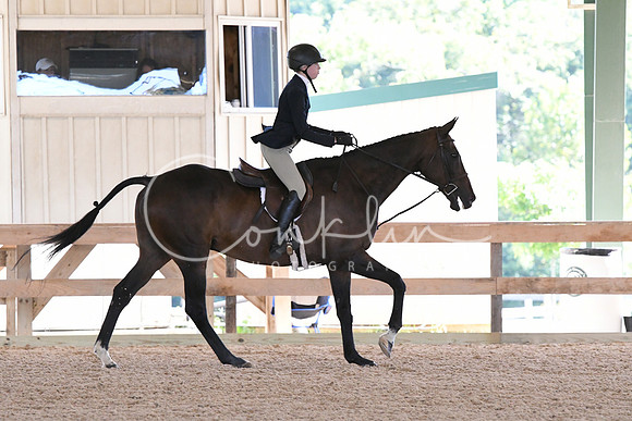 HSM_2617