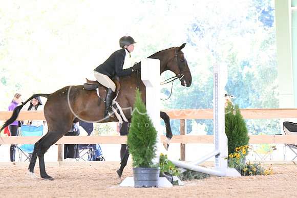 HSM_2619