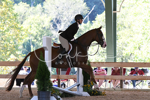 HSM_0968