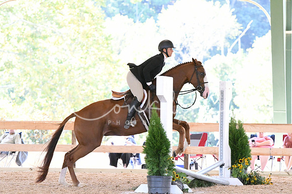 HSM_0972