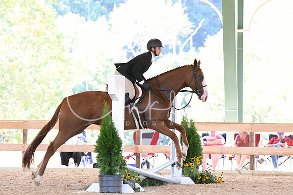 HSM_0973