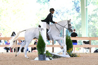 HSM_2610