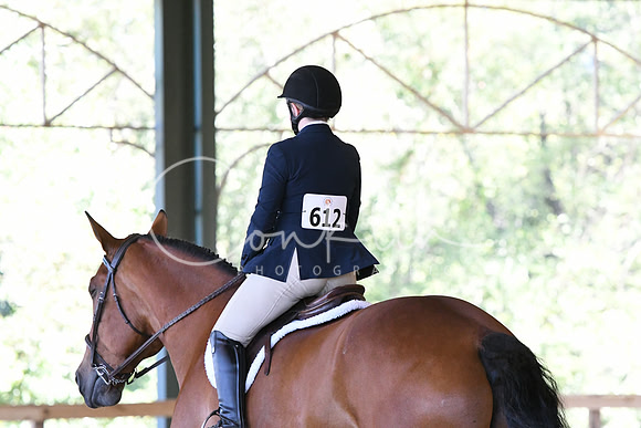 HSM_2594