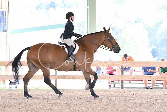 HSM_2597