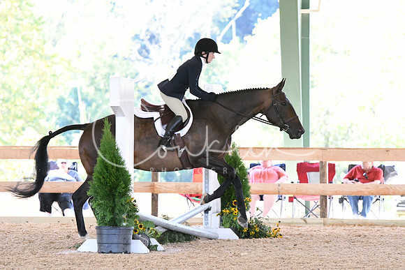 HSM_0913