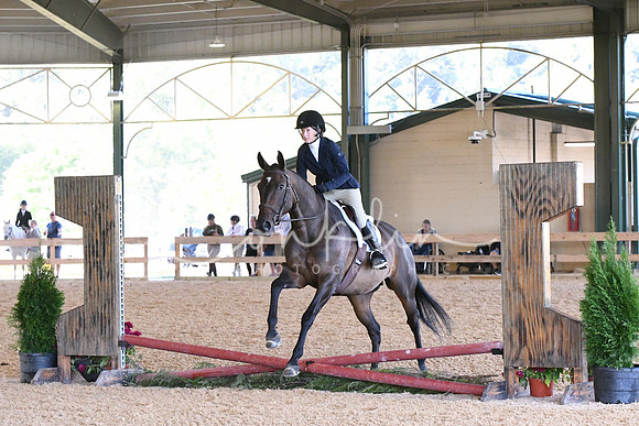 HSM_0917