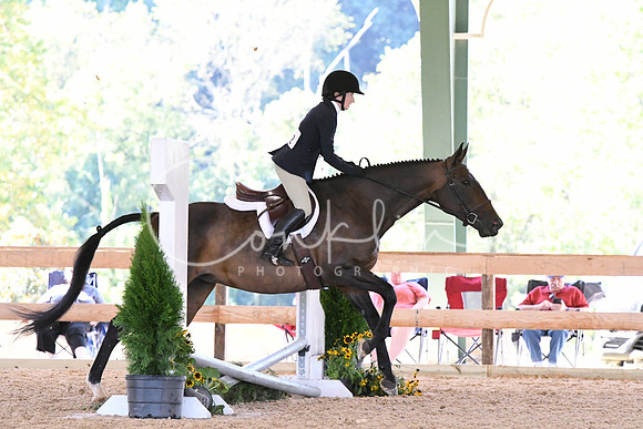 HSM_0918